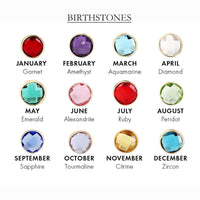 Personalized Horoscope Disc Bracelet with Birthstone Silver